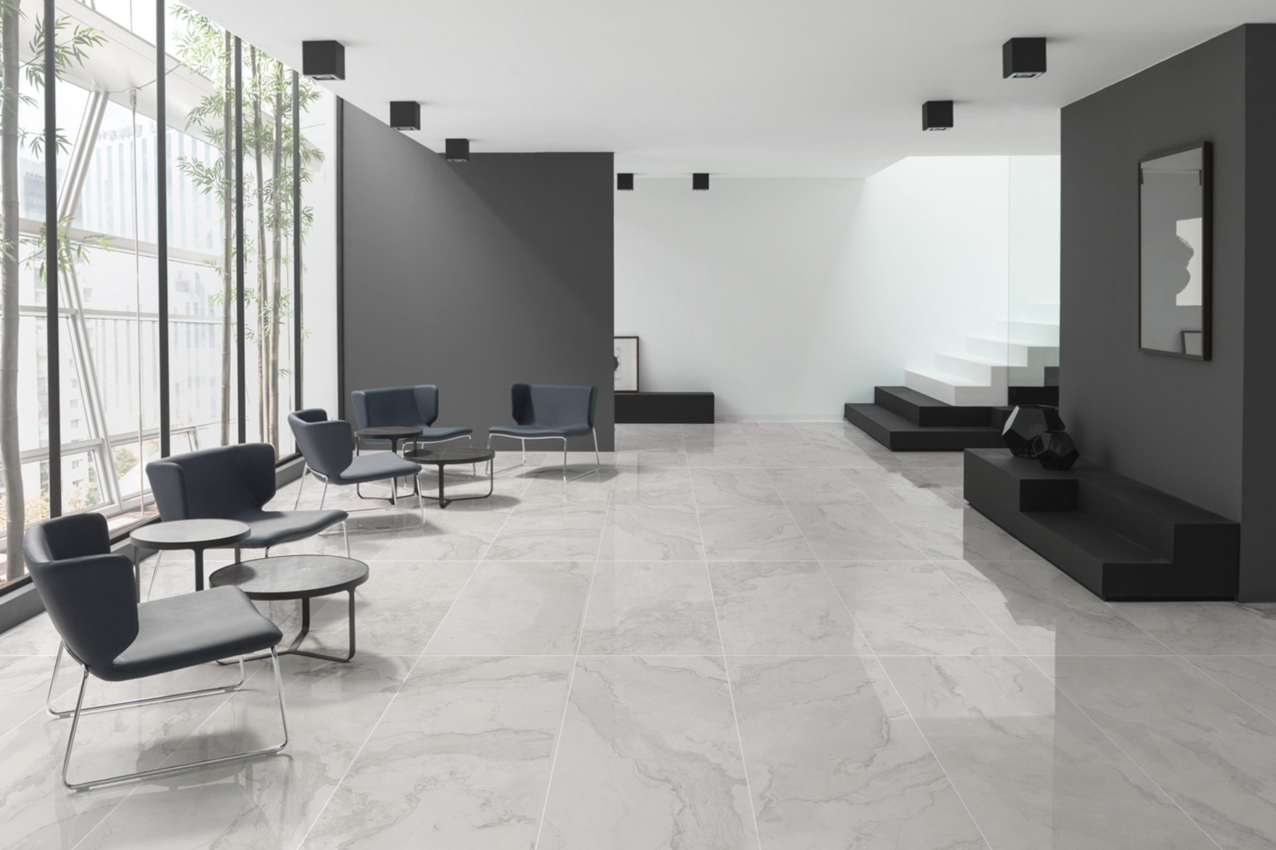 Venicera Premium